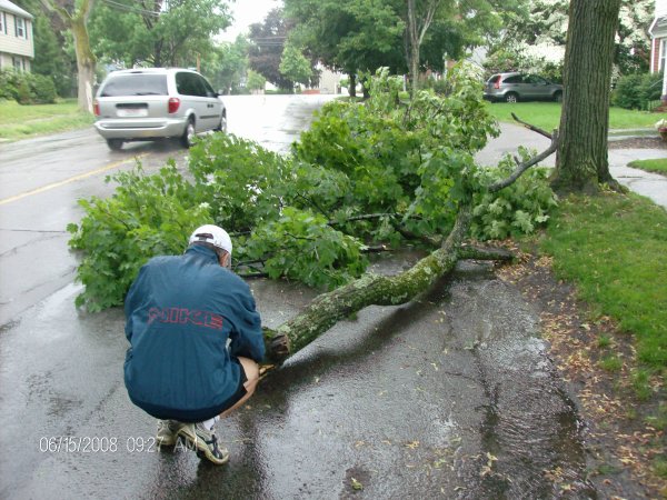 Fallen Limb on Cross St.