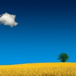 Come learn about efforts to improve air quality in Belmont