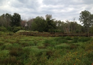 bike path